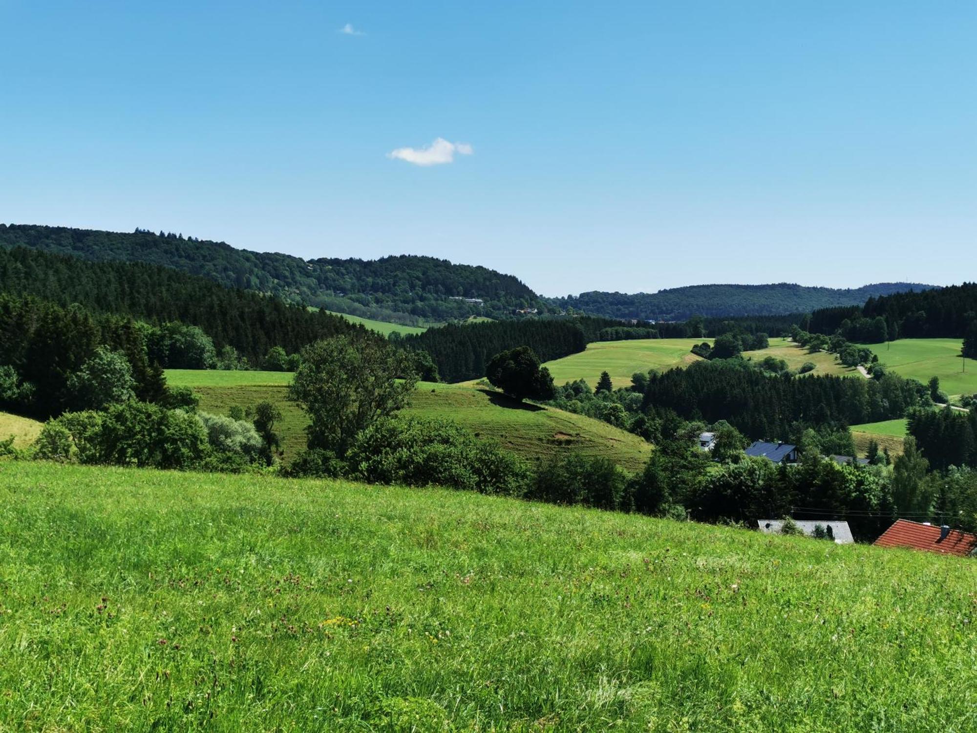 Ferienwohnung Blick Rappenstein Hausen am Tann Exterior foto